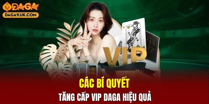 Các bí quyết tăng cấp VIP DAGA hiệu quả
