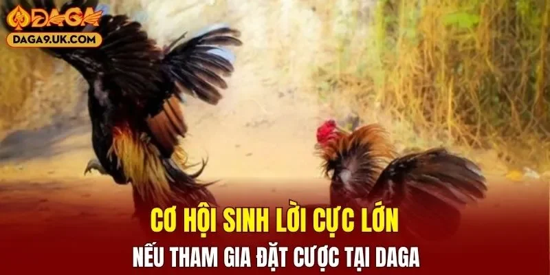 Cơ hội sinh lời cực lớn nếu tham gia đặt cược tại DAGA