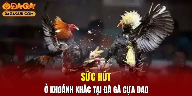 Hé lộ điểm độc đáo tại trận đấu