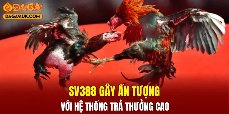SV388 gây ấn tượng với hệ thống trả thưởng cao
