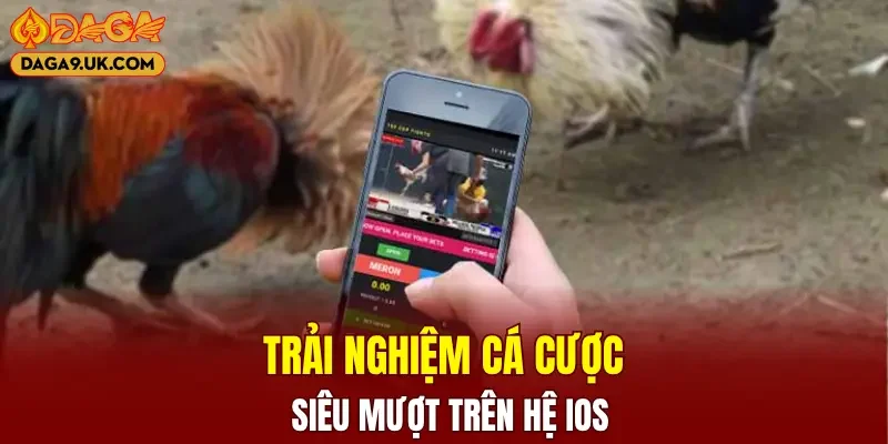 Trải nghiệm cá cược siêu mượt trên hệ iOS